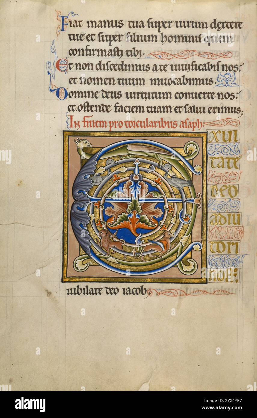 Dekorierte Initiale E; Psalter, nach 1205. Zusätzliche Info: Die Initiale E mit Psalm 80 ist die einzige der neun gemalten Initialen in diesem französischen gotischen Psalter, die keine Figurenszene enthält. Die komplexe Blattform in der Mitte, die sich teilweise um die zentrale horizontale des Buchstabens kräuselt, wirft Vögel und Tiere in den Schatten. Durch ein brillantes Design arrangierte der Strahler die dekorativen Elemente der Initiale zu einer kräftigen, zentralisierten Komposition in einer Palette von Gold, sattem Blau und rostigem Rot. Stockfoto