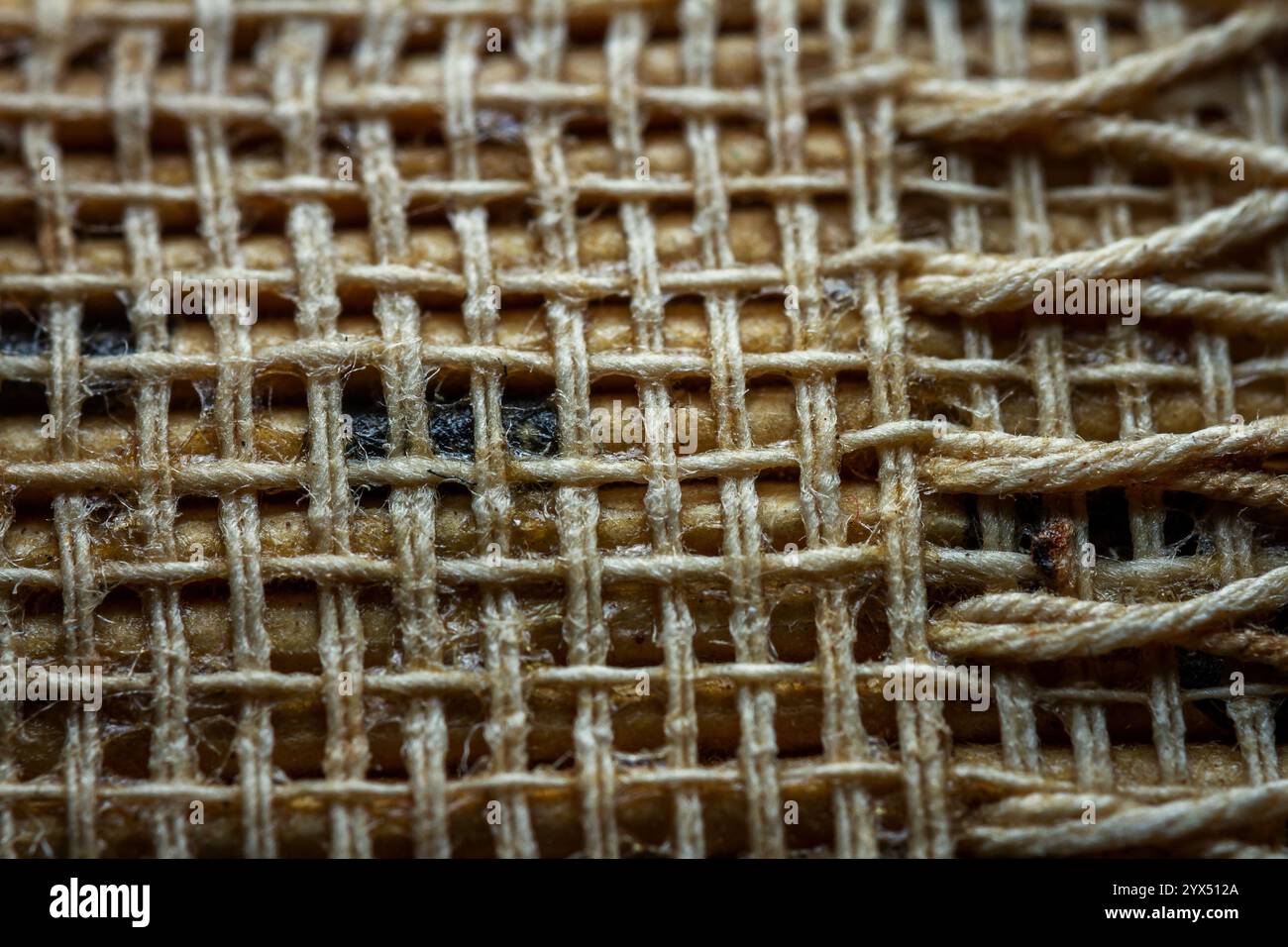 Extreme Nahaufnahme eines alten Buches von der Seite. Selektiver Weichfokus, geringe Schärfentiefe. Bibliophiler, Buchwurm-abstrakter Hintergrund. Buchbindung DE Stockfoto