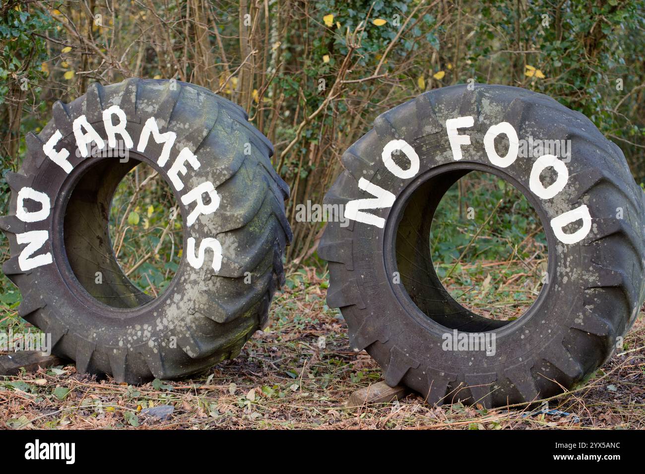 Die Landwirte protestieren in Form von zwei großen Reifen mit der Aufschrift "No Framers-No Food" in weißer Farbe. Großbritannien im Jahr 2024. Stockfoto