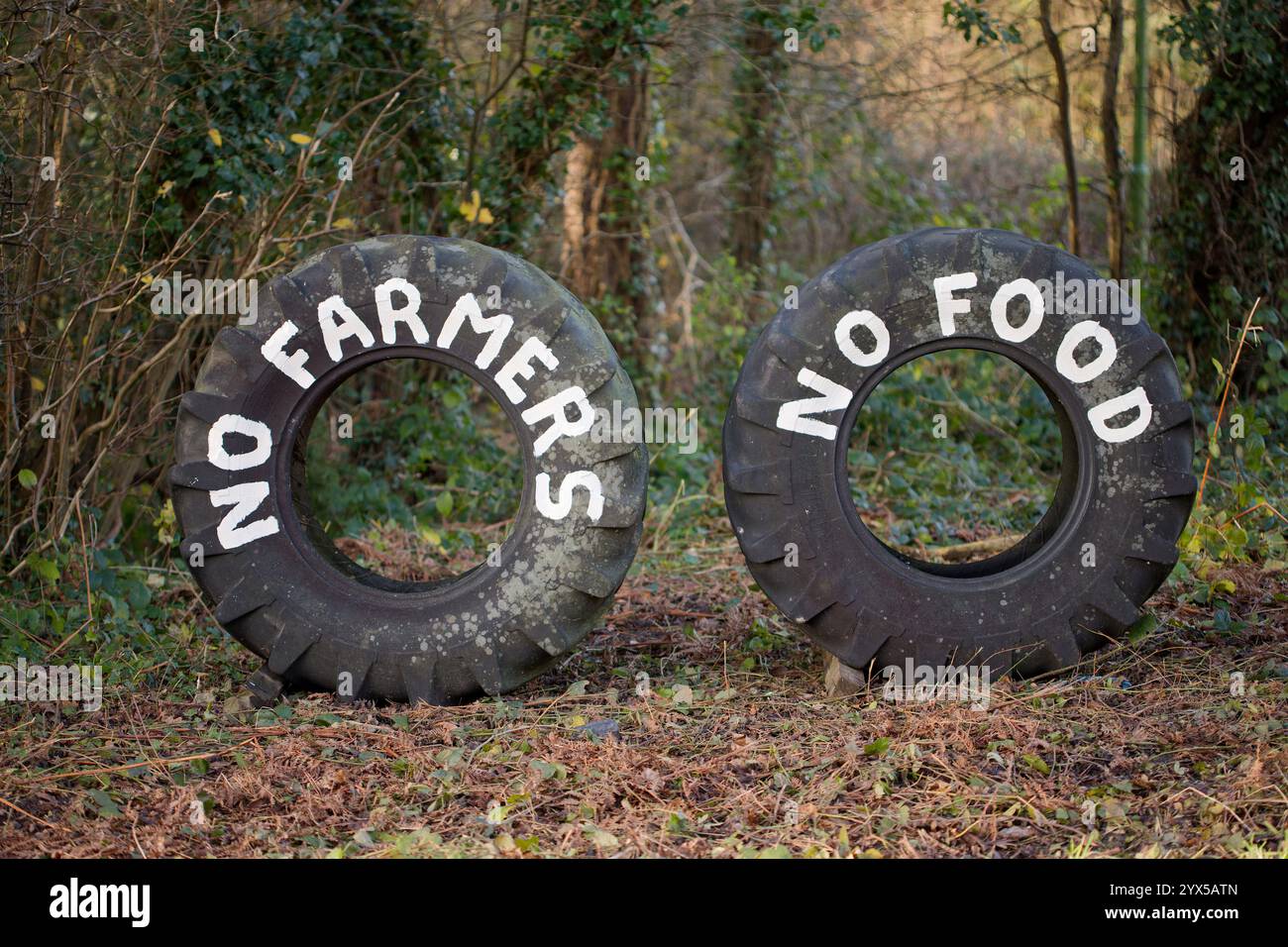 Die Landwirte protestieren in Form von zwei großen Reifen mit der Aufschrift "No Framers-No Food" in weißer Farbe. Großbritannien im Jahr 2024. Stockfoto