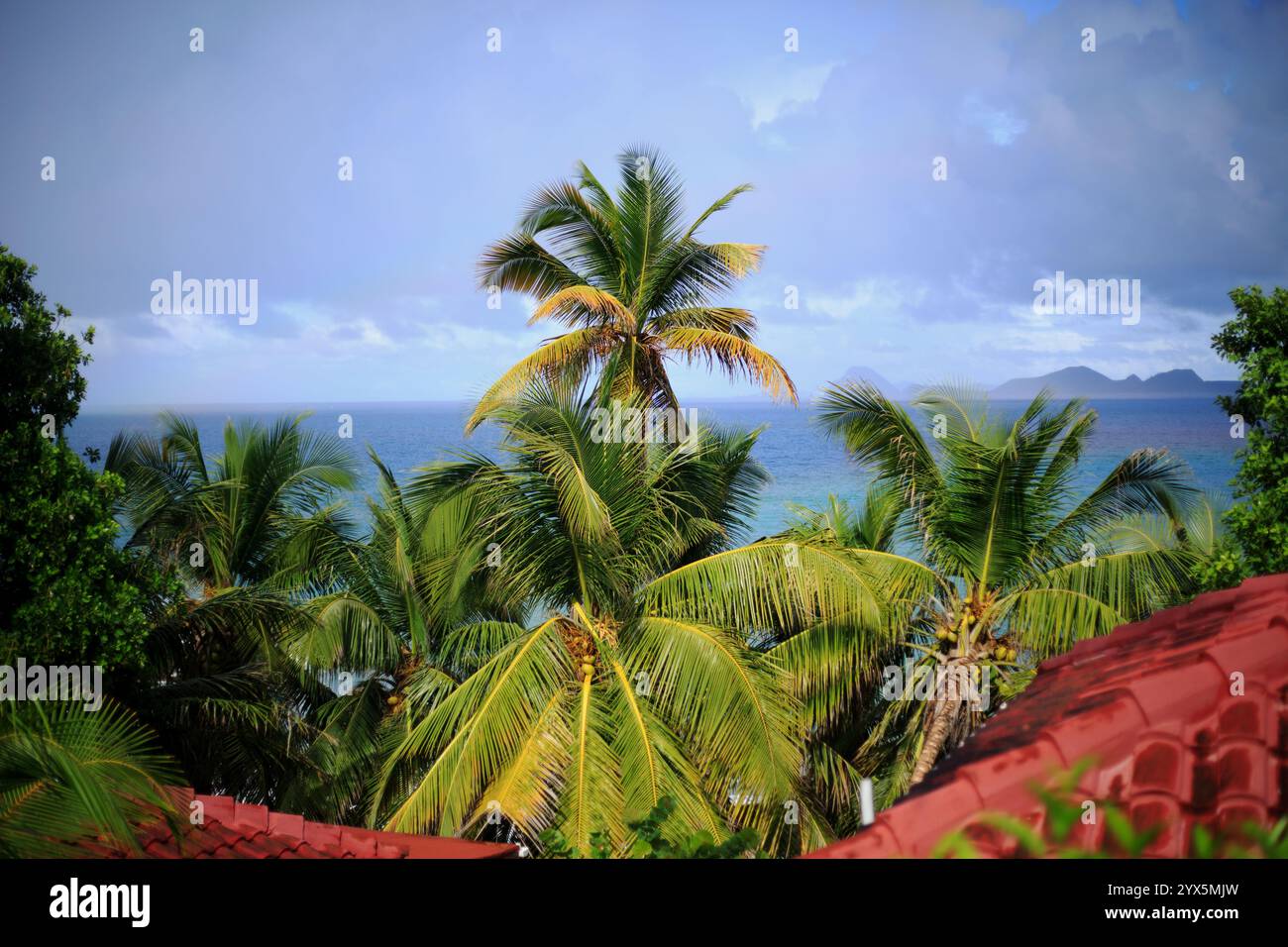 Malerische Aussicht von der Spitze Grenadas mit Blick auf verschiedene karibische Inseln in der Ferne, mit üppigen Palmen im Vordergrund Stockfoto