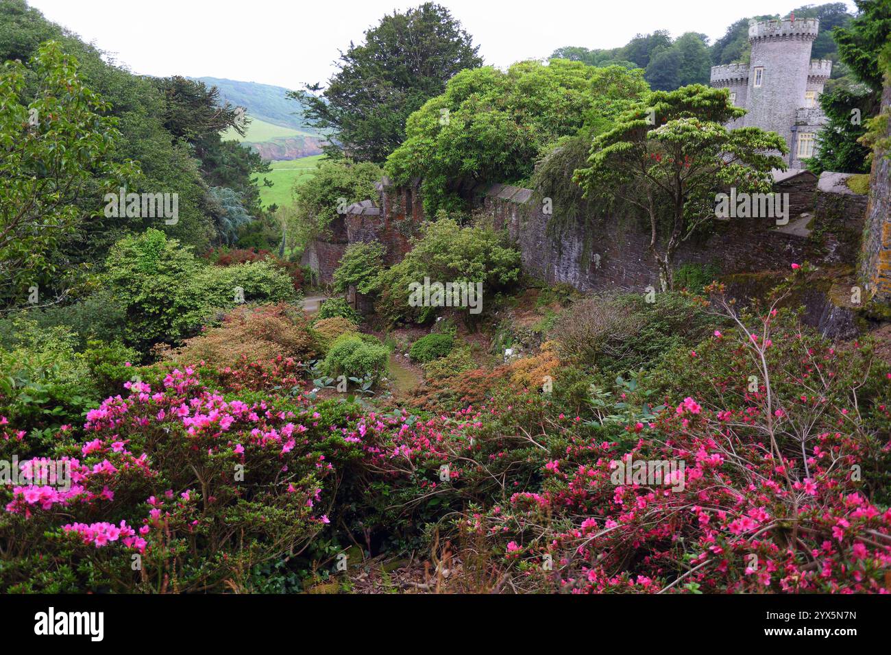 GROSSBRITANNIEN /Cornwall/Caerhays/ Caerhays Castle und Waldgärten Stockfoto