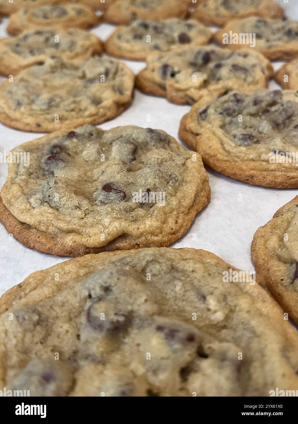 Frisch gebackene Schokoladen-Chip-Cookies auf Pergamentpapier Stockfoto