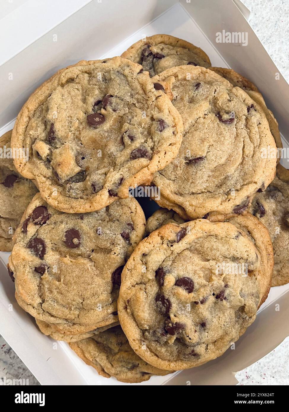 Frisch gebackene Schokoladen-Chip-Cookies in einer Box - Smartphone-aufgenommenes Stockfoto