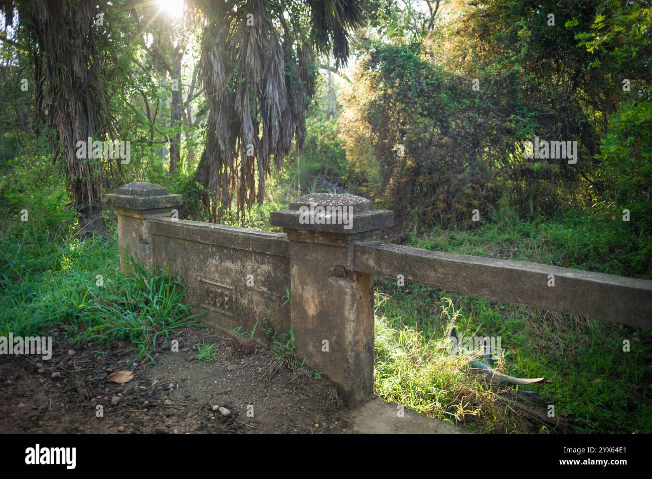 Historische Betonbrücke markiert 1938 über einen kleinen Bach, historische Betonbrücke markiert 1938 über einen kleinen Bach, Gorongosa Nationalpark, Sofala, Mozam Stockfoto