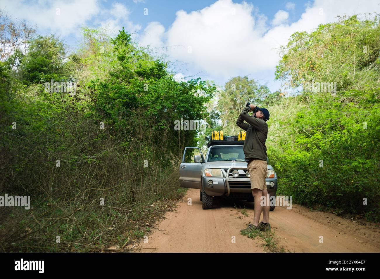 Ein Mann sucht nach Vögeln auf einer Fahrt im Geländewagen durch die Miombo-Wälder von Mhpingwe, Provinz Sofala, Mosambik, bekannt für viele besondere Arten Stockfoto