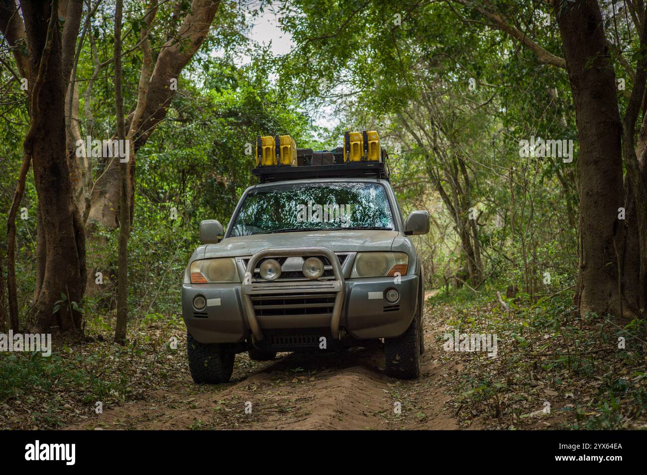 Ein Geländewagen fährt eine Sandstraße durch dichte Miombo-Wälder und Sandwälder in der Nähe von Coutada 11, Provinz Sofala, Mosambik auf einer selbstfahrenden Safari Stockfoto