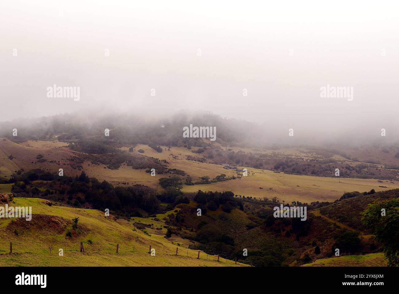 Ruhige Hügel von Saint Helena mit Nebellandschaft Stockfoto