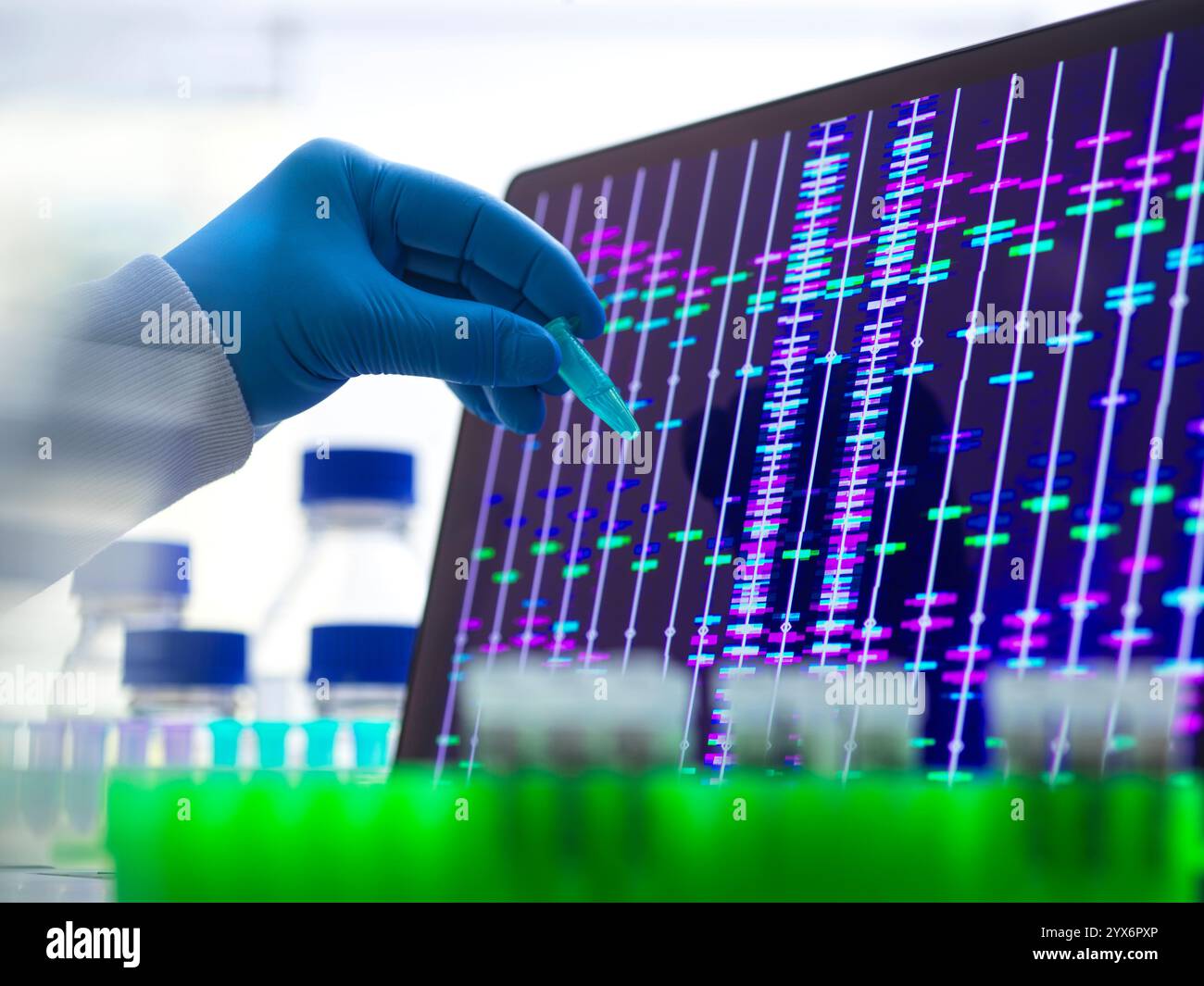 Wissenschaftler, der eine DNA-Probe (Desoxyribonukleinsäure) für die Analyse vorbereitet, mit einem DNA-Profil auf dem Bildschirm. Stockfoto