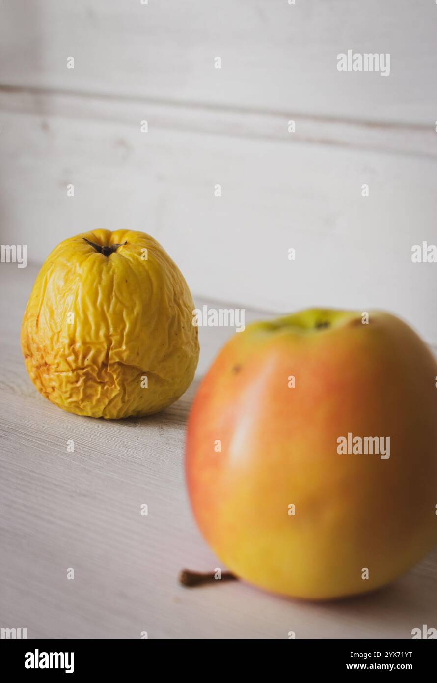 Frischer und verfaulter Apfel auf weißem Hintergrund. Frischer roter Apfel und faltiger Apfel. Jung und Alt Konzept. Konzept des Alterungsprozesses. Hautpflegekonzept. Stockfoto