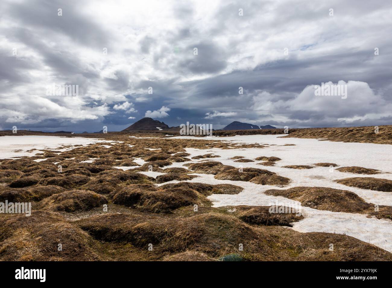 Vulkanische Landschaft von Leirhnjukur, Myvatn geothermisches Gebiet in Island, mit Hügeln und Lavafeldern bedeckt mit Moos, Gras und Schnee. Stockfoto