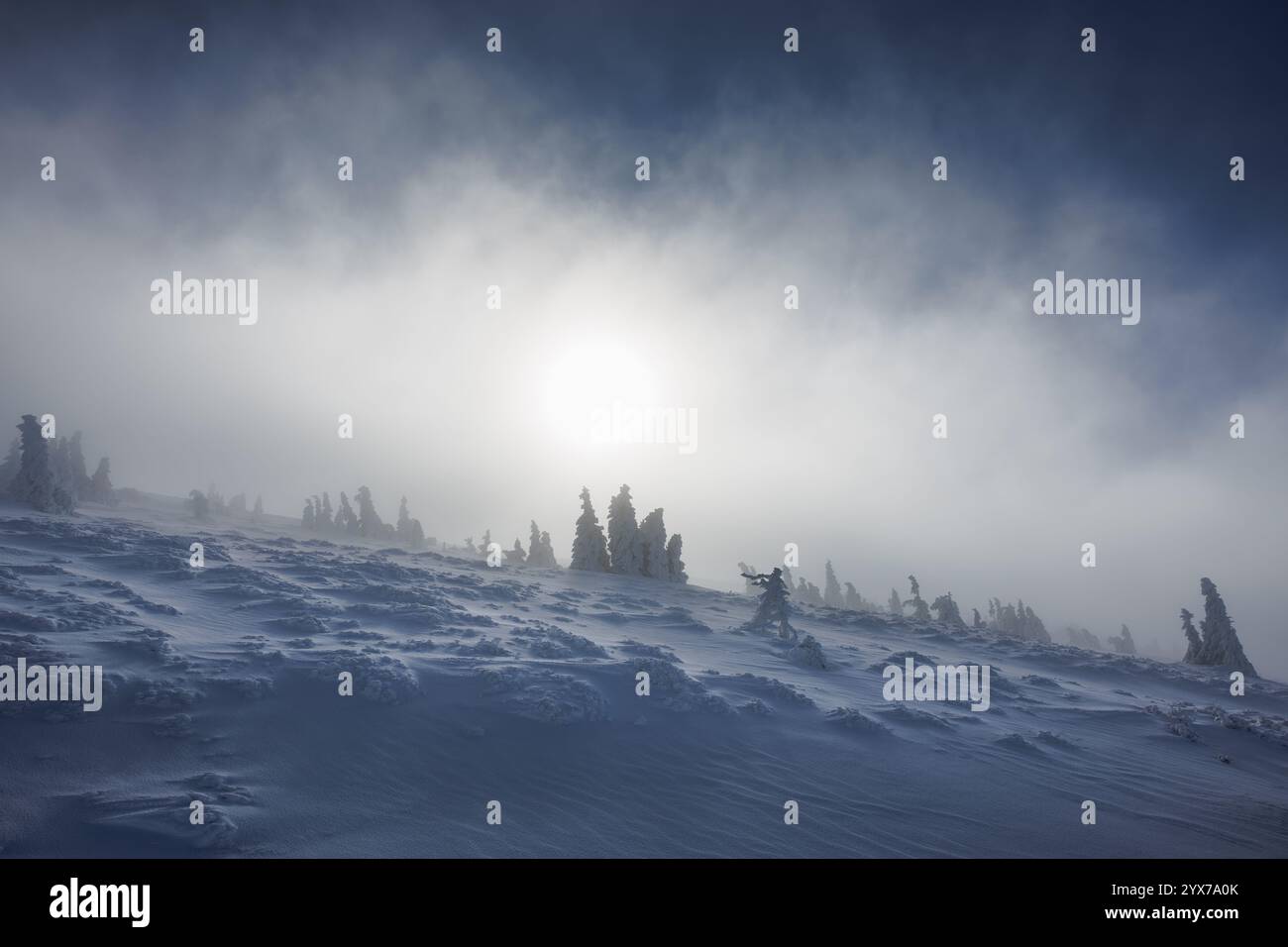 Windiges, kaltes Wetter in schneebedeckten Bergen. Winterlandschaft mit schneebedeckten Bäumen und Sonnenlicht, das durch Wolken scheint Stockfoto
