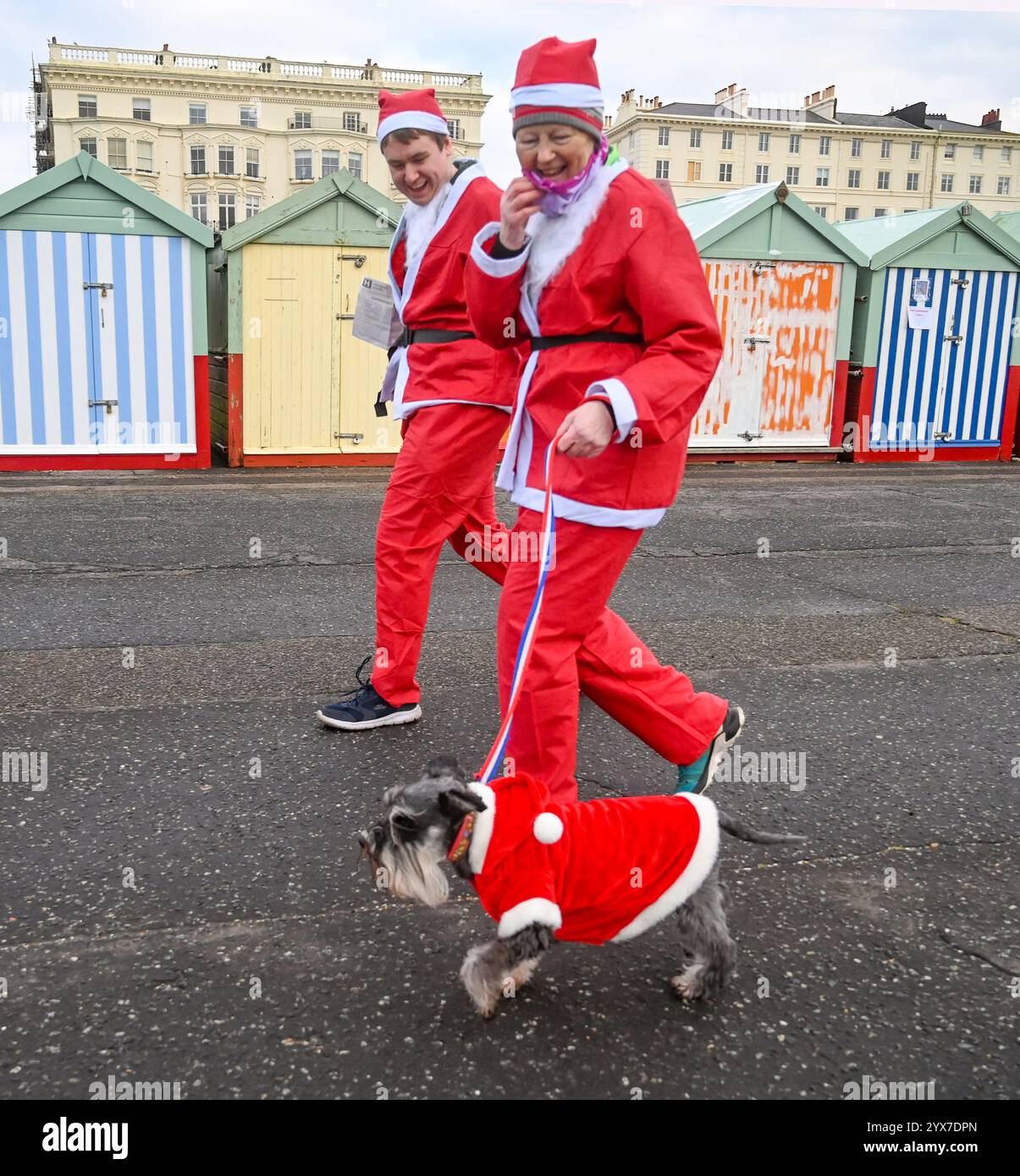 Brighton Großbritannien 14. Dezember 2024 - dieser Hund schließt sich in diesem Jahr Brighton Santa Dash entlang Hove Seafront an und sammelt Geld für die Rockinghorse ChildrenÕs Charity an einem kühlen, langweiligen Morgen entlang der Südküste : Credit Simon Dack / Alamy Live News Stockfoto