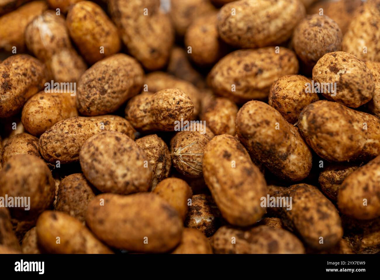 Nahaufnahme von gerösteten Erdnüssen in Schale, Erdtönen und Texturen. Perfekt für Speisen, Snacks und Rezepte. Stockfoto