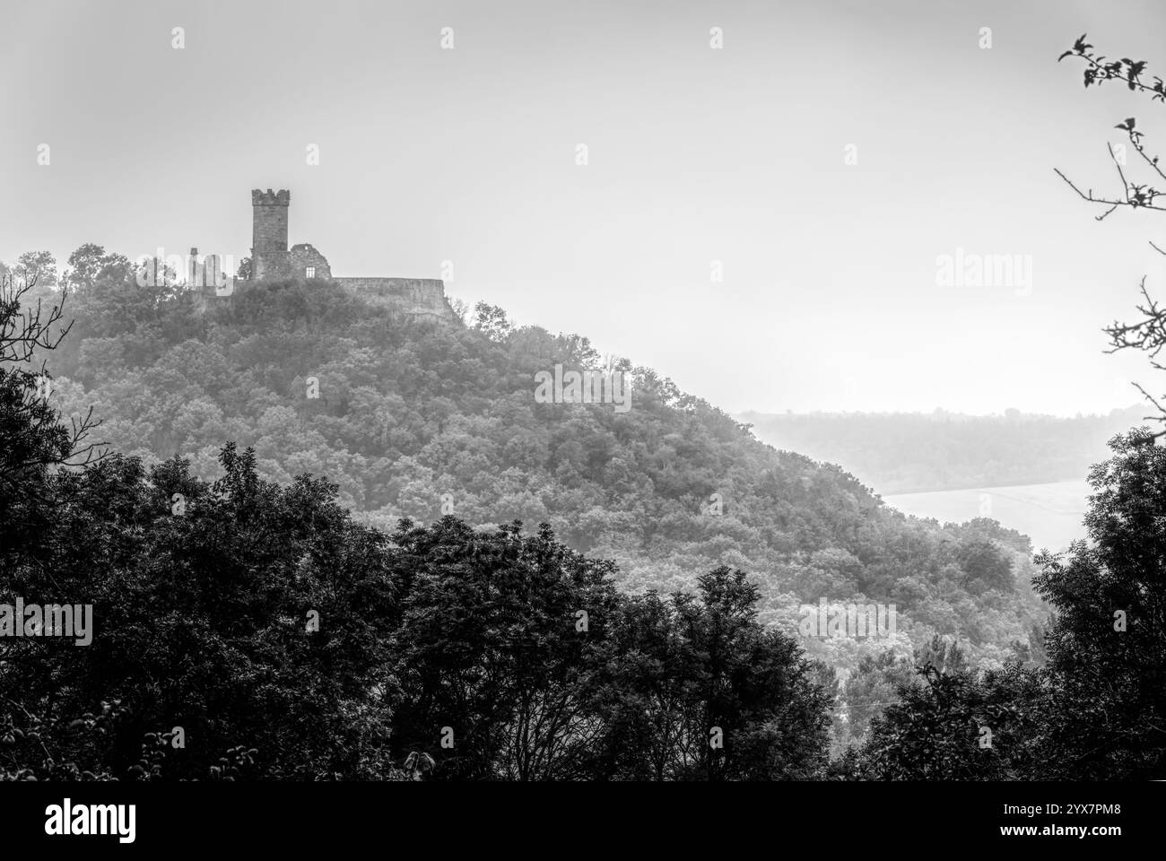 Mühlburg als Schwarz-weiß-Bild im Herbst Stockfoto