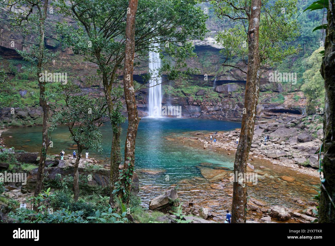 Sauberer Wasserfall mitten im Regenwald in Meghalaya, Indien. Seine große unberührte Touristenattraktion in Indien. Stockfoto