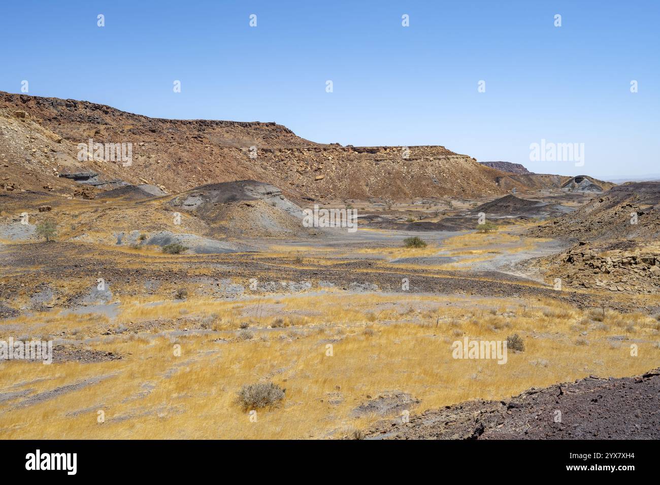 Trockene Landschaft mit gelbem Gras und schwarzen vulkanischen Hügeln, Burnt Mountain, Damaraland, Kunene, Namibia, Afrika Stockfoto