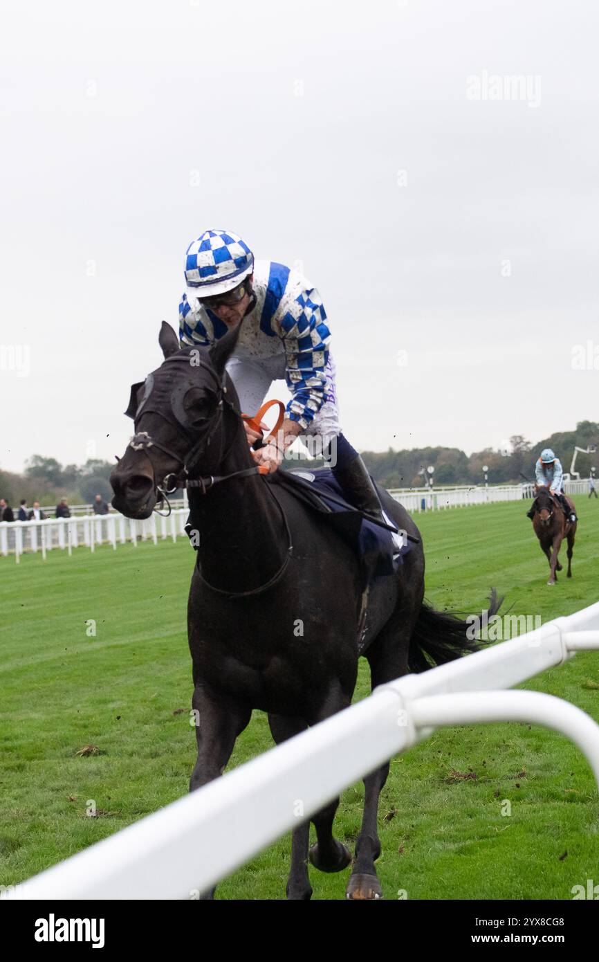 Windsor, Großbritannien. Oktober 2024. GALACTIC GLOW, geritten von Jockey Ray Dawson, Rennen in den Get Raceday Ready Handicap Stakes (Klasse 6) (Div 1) beim Flat Season Finale auf der Royal Windsor Racecourse in Windsor, Berkshire. Kredit: Maureen McLean/Alamy Stockfoto