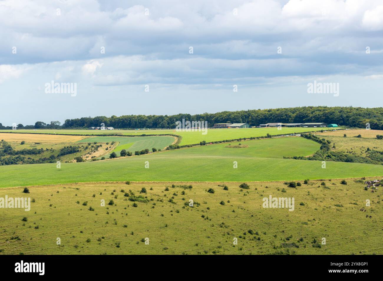 Compton Abbas Airfield der Flugplatz wird von Regisseur Guy Ritchie verwaltet, dem auch das benachbarte Ashcombe Estate gehört Stockfoto