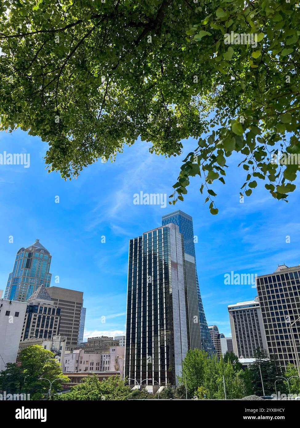 Seattle, Washington - Smartphone-aufgenommenes Stockfoto