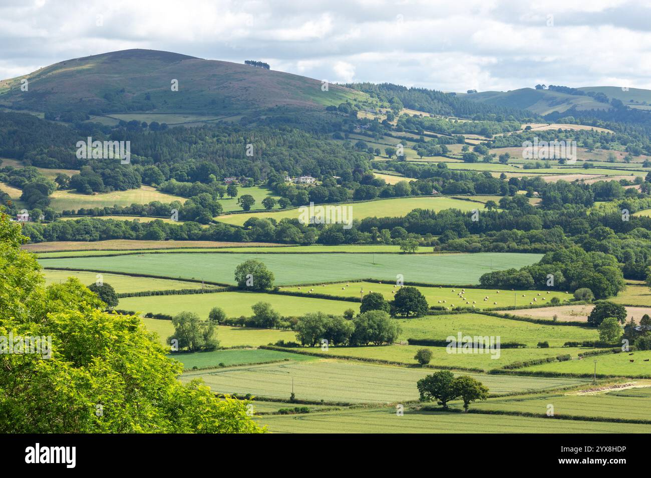 Heath Mynd ist ein Hügel in der englischen Grafschaft Shropshire Stockfoto
