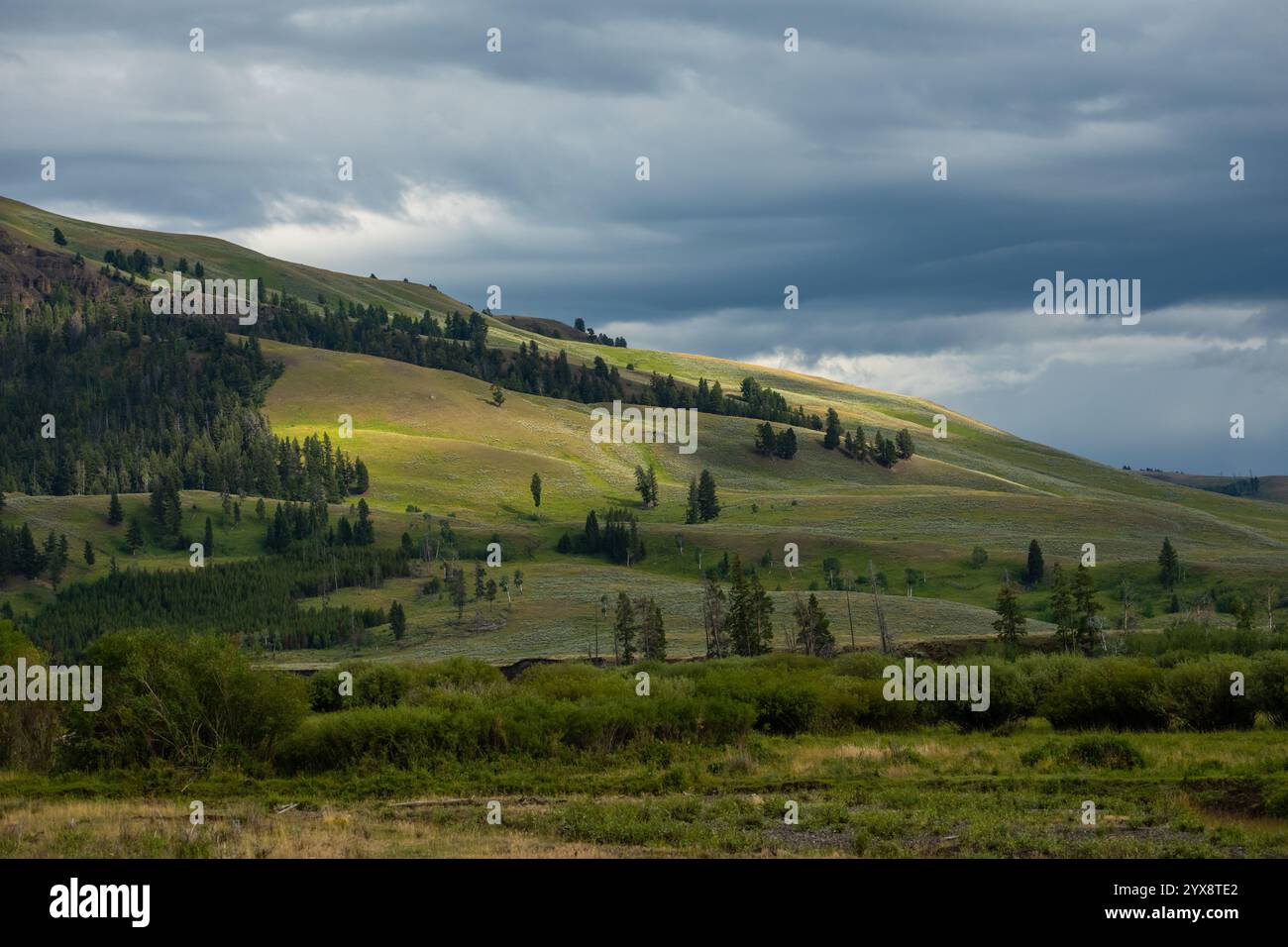 Sonnenlicht betört die Hügel des Lamar Valley in Yellowstone Stockfoto
