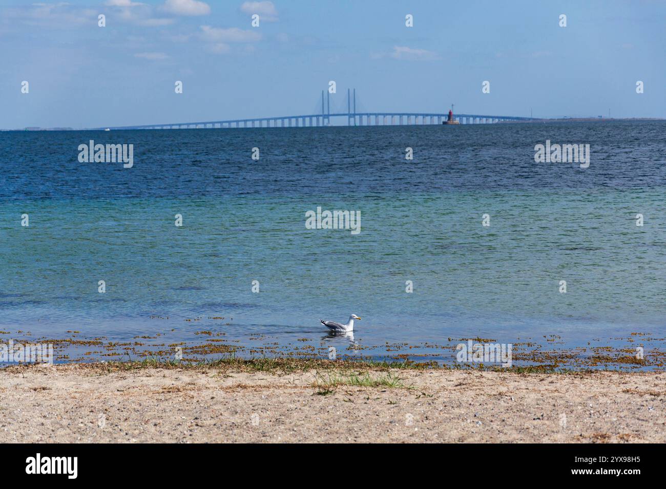 Oresund-Brücke vom Amager Beach Park aus gesehen, Kopenhagen, Dänemark, sonniger Tag Stockfoto