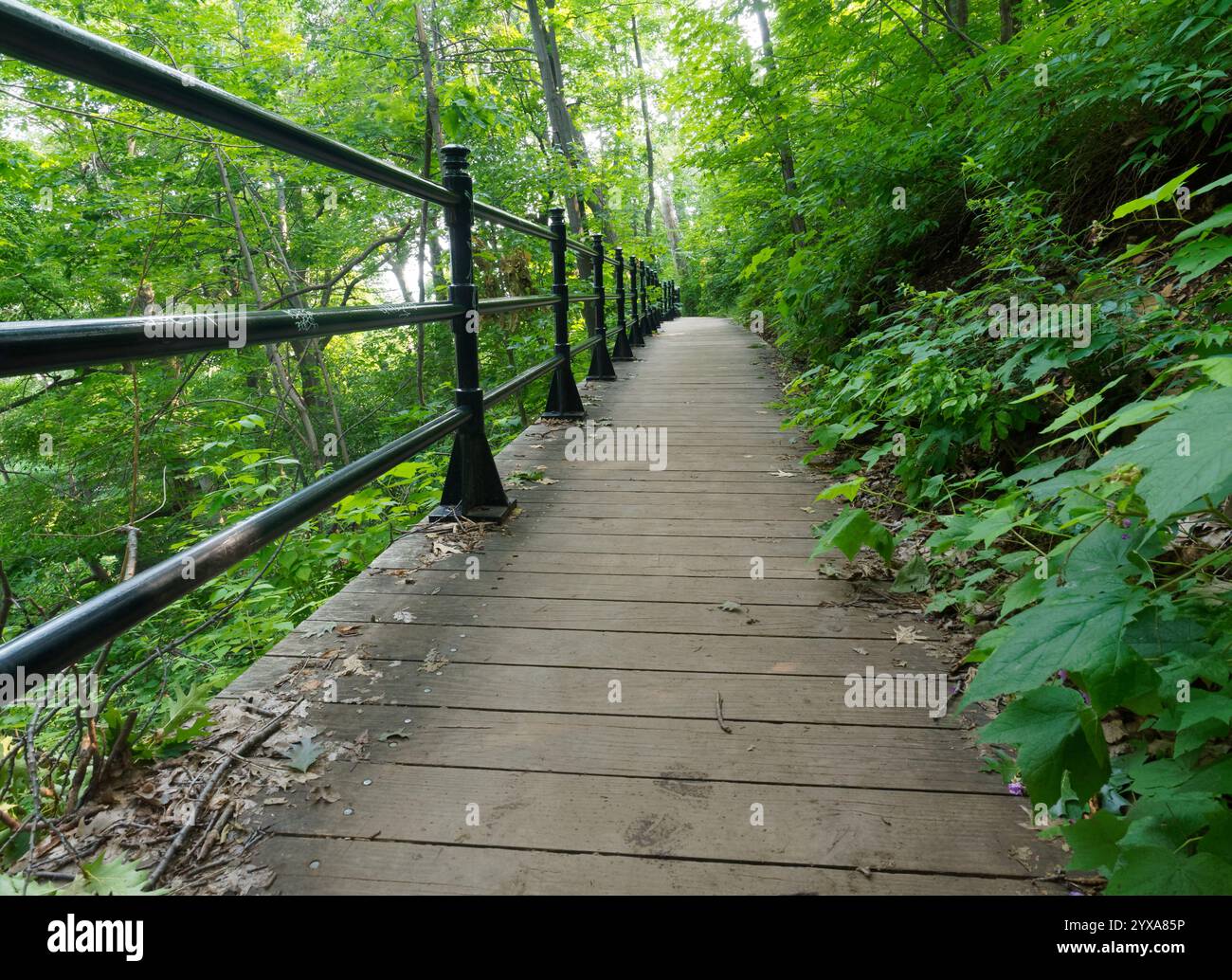 Fußweg entlang des Mount-Royal Parks, Montreal, Quebec, Kanada Stockfoto