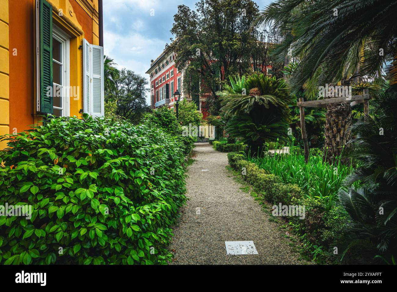 Wunderbarer Ort mit verschiedenen dekorativen grünen Pflanzen und Palmen im botanischen Garten, St. Margherita Ligure, Ligurien, Italien, Europa Stockfoto
