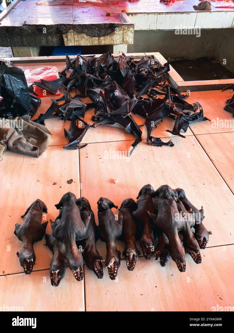 Fledermausfleisch wird oft als Daging Kelelawar bezeichnet, auf dem traditionellen Markt Tomohon, Nord-Sulawesi, Indonesien. Köstlich und proteinreich Stockfoto