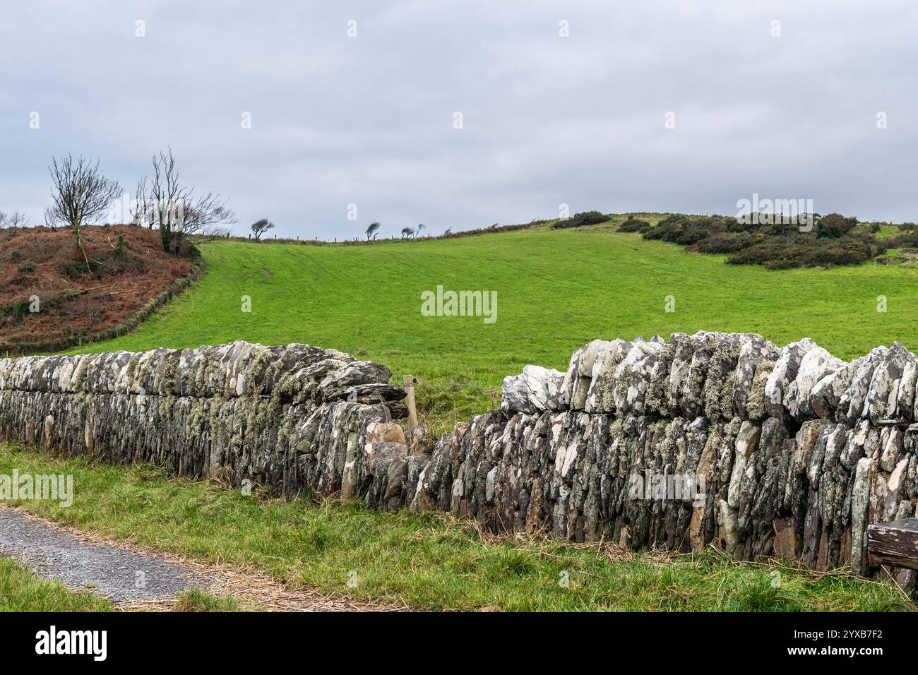 Traditionelle Steinmauer in West Cork, Irland. Stockfoto