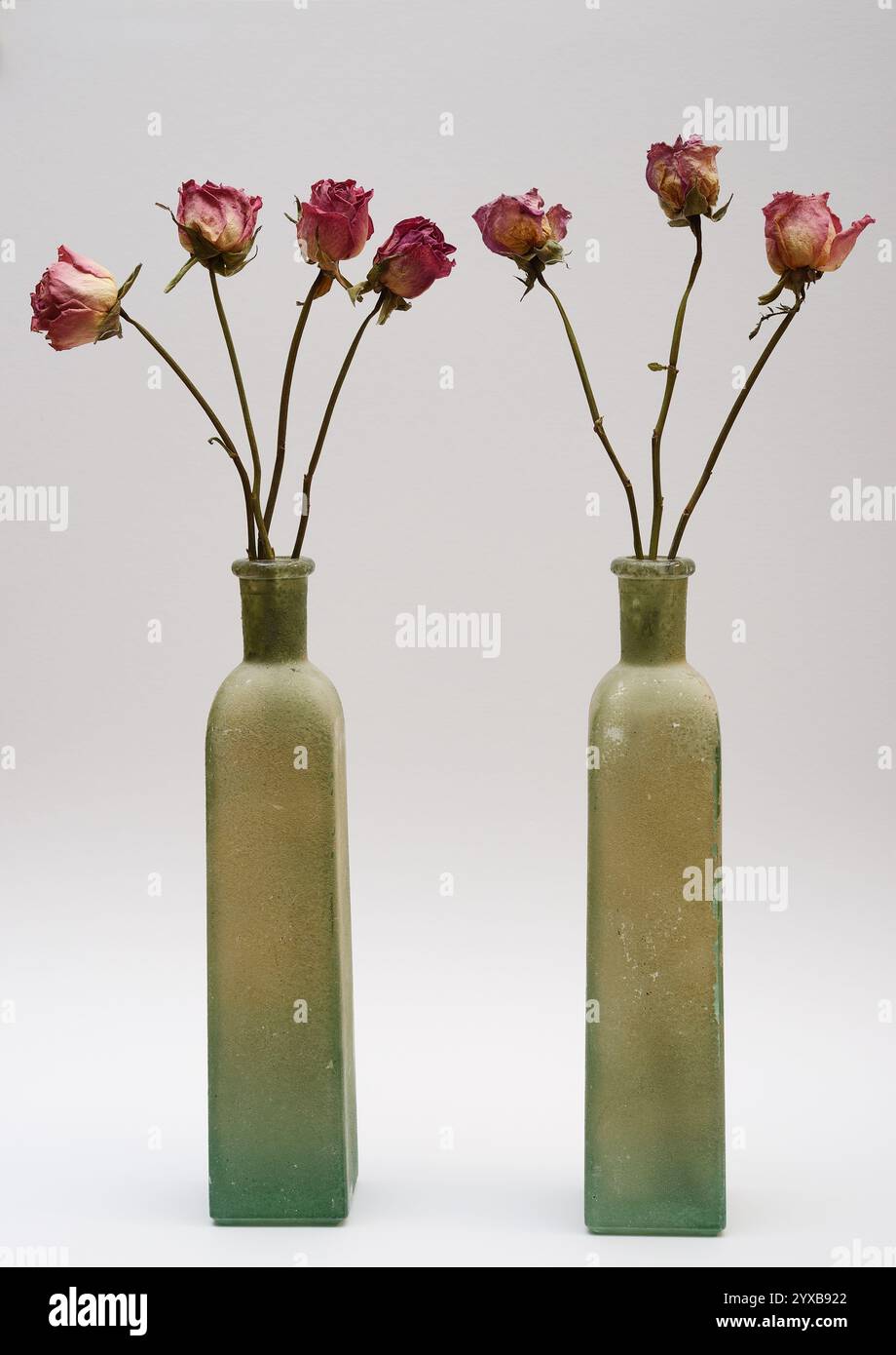 Zwei alte grüne Glasflaschen mit getrockneten rosa Rosen. Die Komposition ist einfach und künstlerisch, mit verblassten Blumen und erdfarbenen Vasen Stockfoto