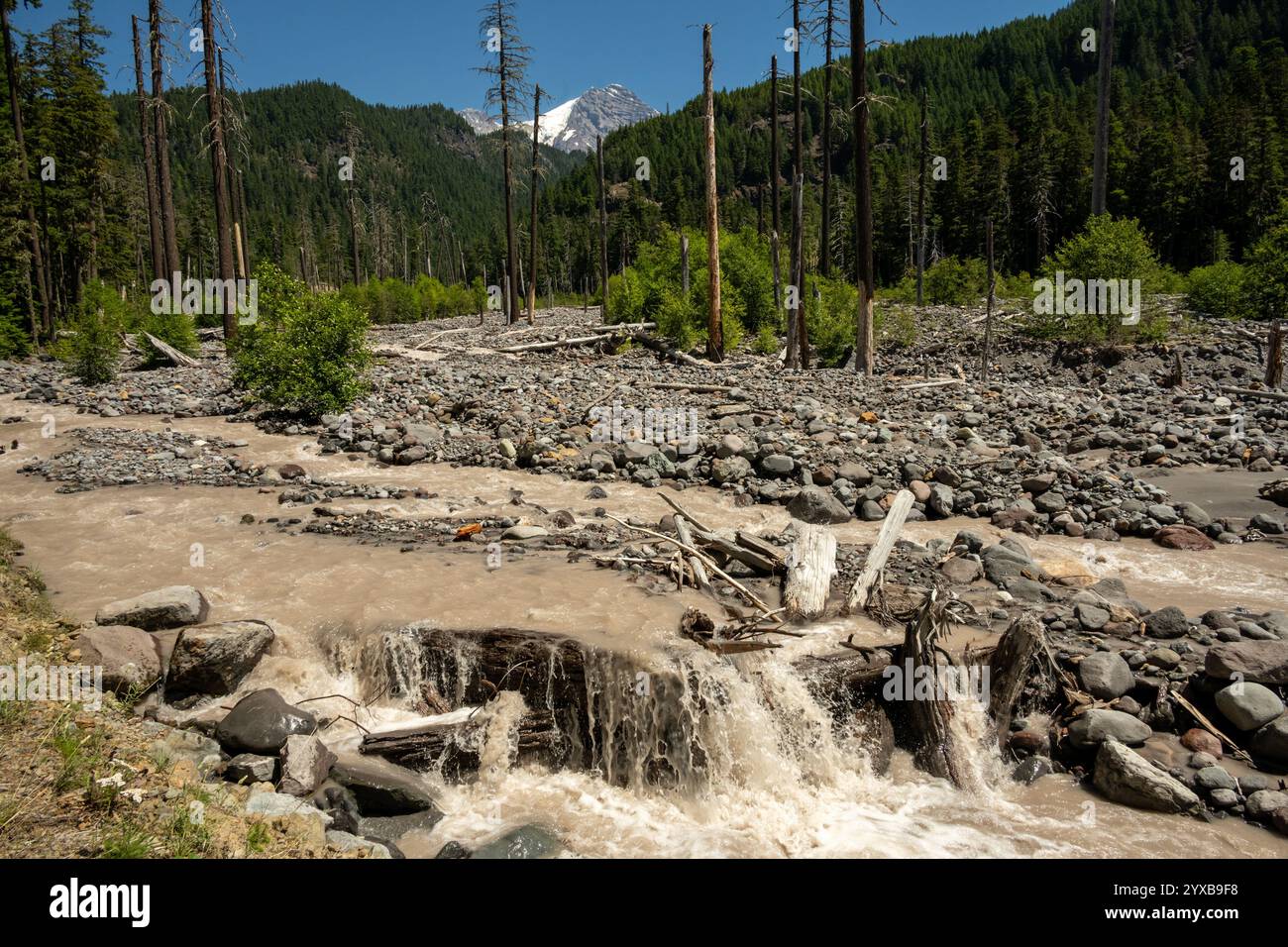 Der Tahoma Creek fließt Muddy durch Eine Rocky Flood Plain unterhalb des Mount Rainier Naitonal Park Stockfoto