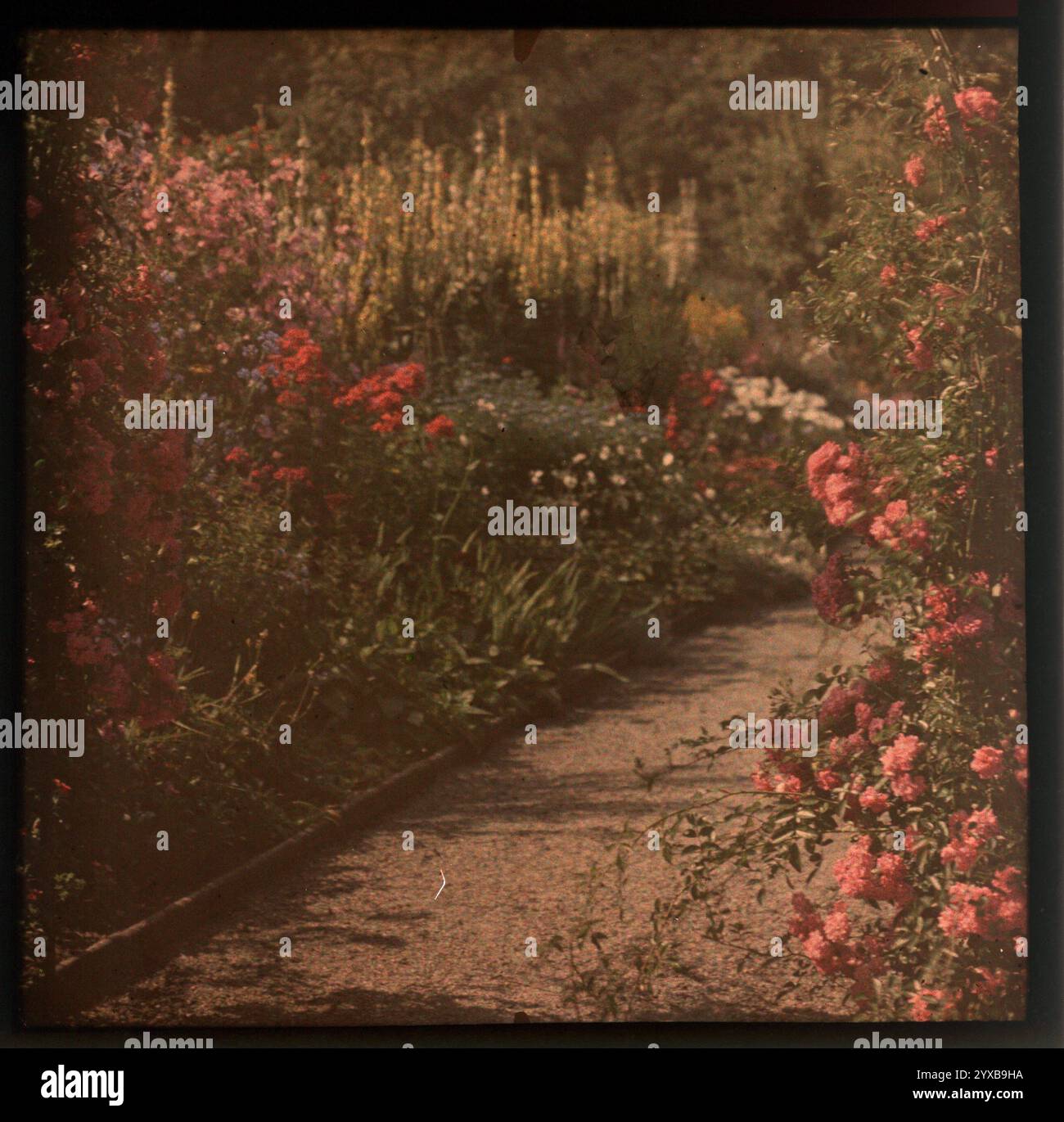 Autochrome Stockfoto