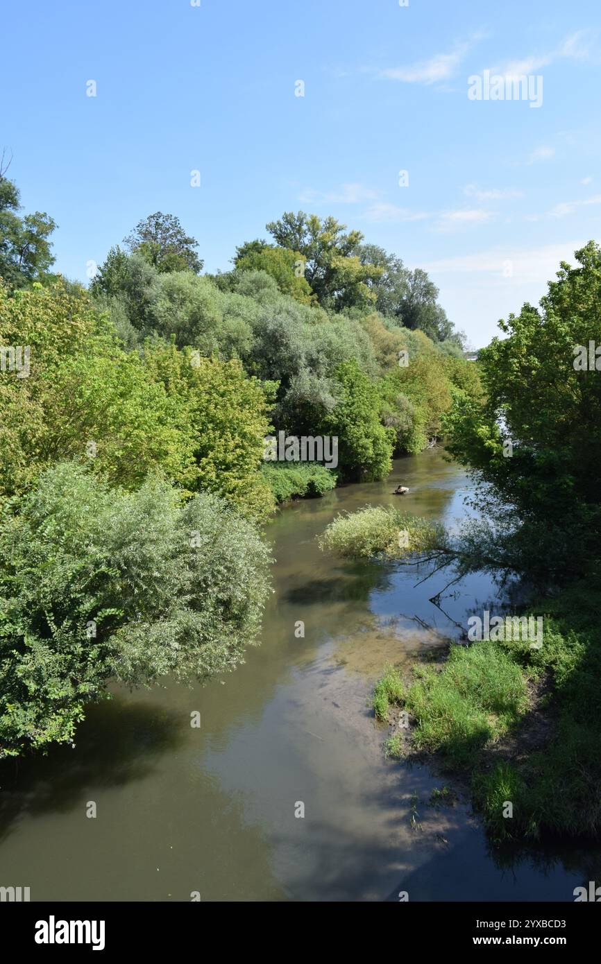 Die Fischa in Fischamend, Niederösterreich an einem sonnigen Sommertag. Es ist ein rechter Nebenfluss der Donau. Stockfoto