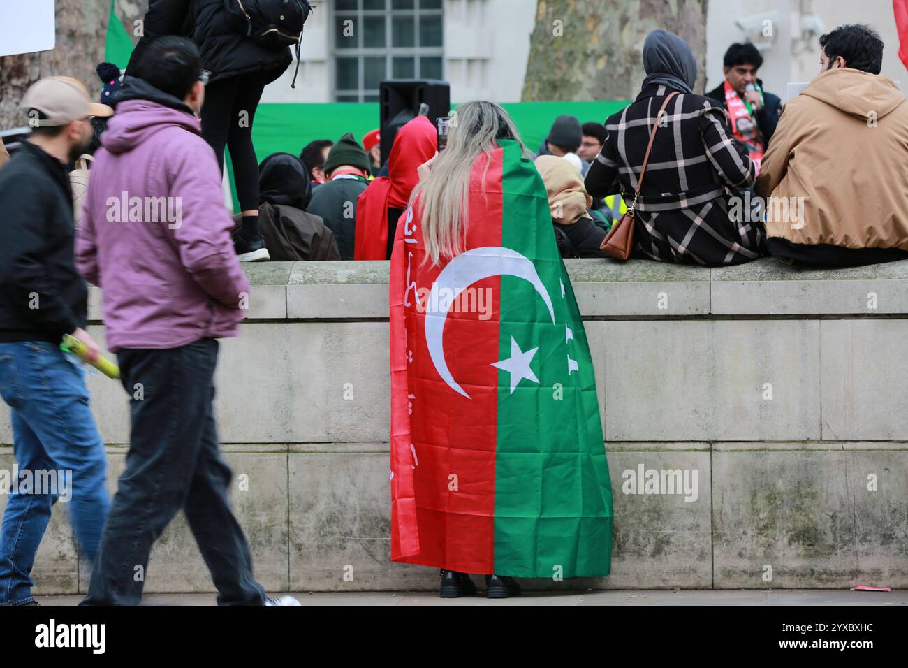 London, Großbritannien. 15. Dezember 2024. Aktivisten, die mit Pakistan Tehreek-e-Insaf (PTI), der politischen Partei des ehemaligen pakistanischen Premierministers Imran Khan, verbunden sind, protestieren in Whitehall gegenüber der Downing Street in London. Die Demonstranten verurteilen die anhaltende Gewalt in Pakistan und die Zusammenstöße zwischen Anhängern des ehemaligen Premierministers Khan und pakistanischen Sicherheitskräften. Quelle: Waldemar Sikora / Alamy Live News Stockfoto