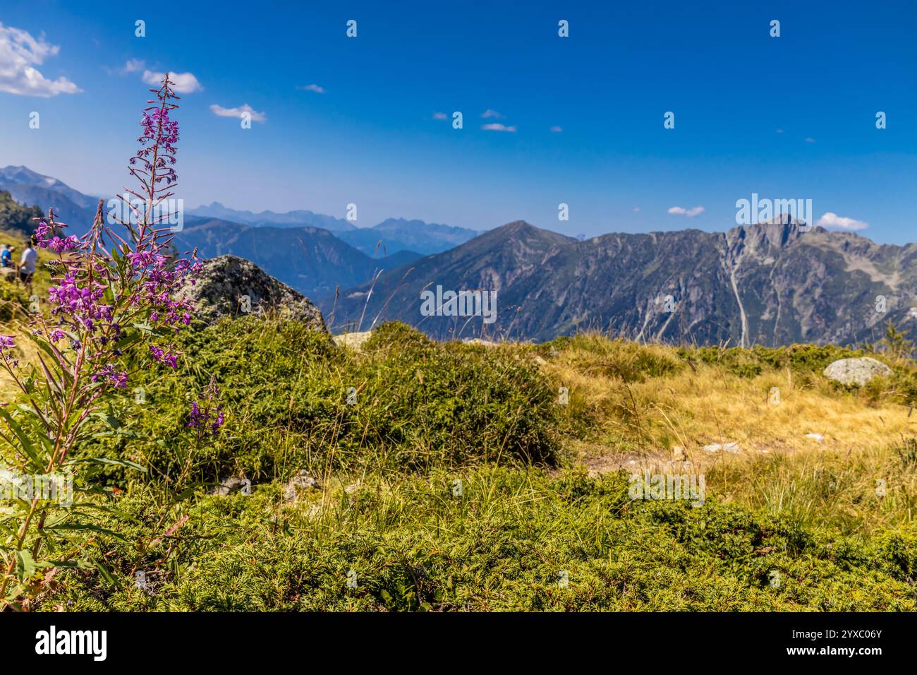 Malerische Landschaft der Alpen auf Tour du Montblanc. Felsige und schneebedeckte Gipfel der Alpen auf der Trekkingroute TMB um den Mont Blanc in Chamonix Stockfoto