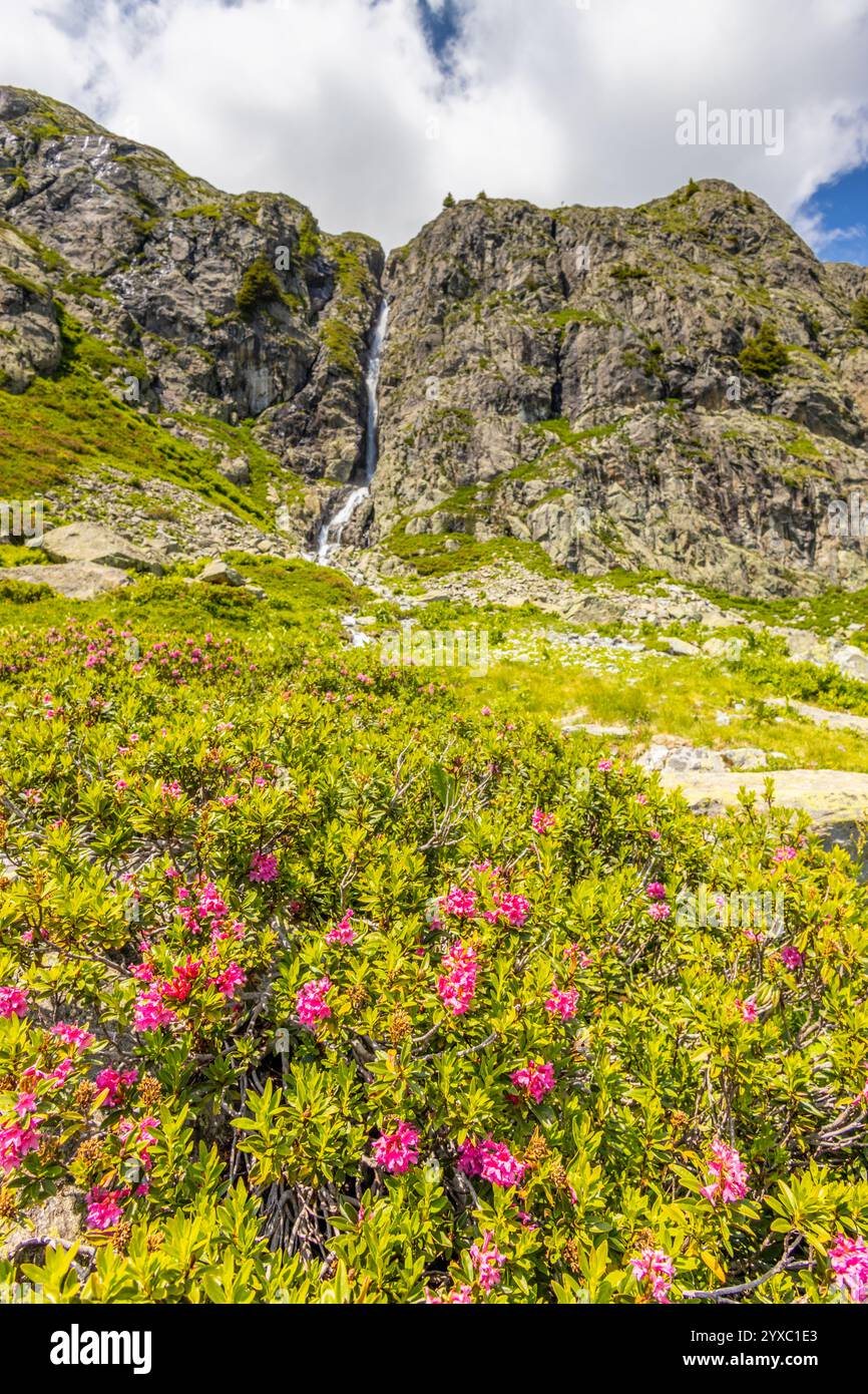 Malerische Landschaft der Alpen auf Tour du Montblanc. Felsige und schneebedeckte Gipfel der Alpen auf der Trekkingroute TMB um den Mont Blanc in Chamonix Stockfoto