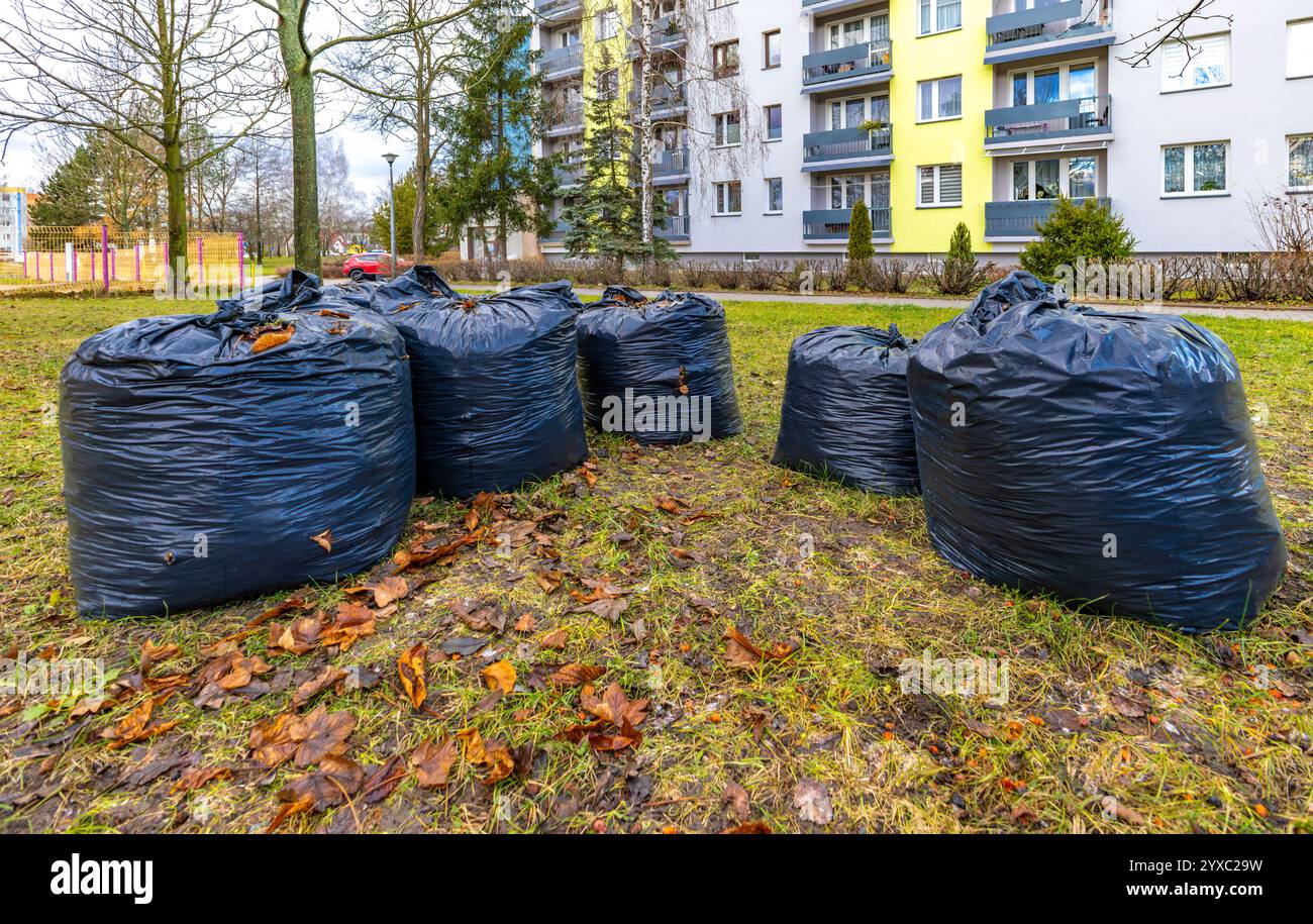 Schwarze Müllsäcke vor einem Wohnblock, Taschen mit gemähtem Gras, Verschmutzung in der Stadt Stockfoto