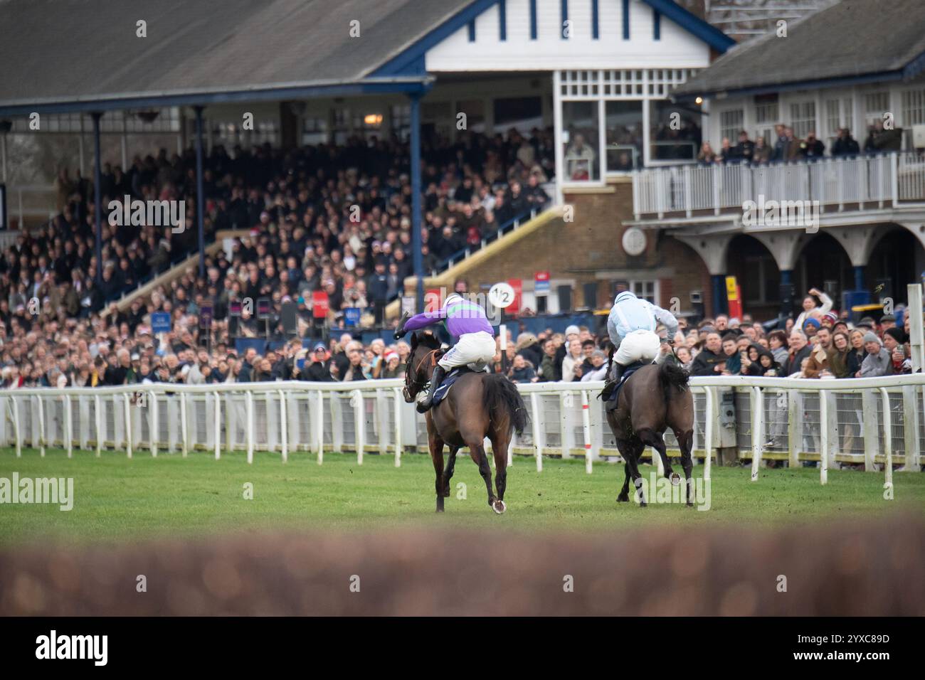 Windsor, Berkshire, Großbritannien. Dezember 2024. ASIATISCHES GEWÜRZ (Nr. 4), geritten von Jockey Harry Cobden (violette Seide), gewinnt das Fitzdares Windsor Castle Mares Handicap Hürdenrennen Klasse 4 Challenger Mares Hürdenserie Qualifikation beim Jumps Racing Returns Meeting auf der Royal Windsor Racecourse in Windsor, Berkshire. Inhaber Martin Hill und Partner, Trainer Jimmy Frost, Buckfastleigh, Züchter Mr Martin & Mrs Rachel Hill, Sponsor A S Trade Car Sales. Quelle: Maureen McLean/Alamy Live News Stockfoto