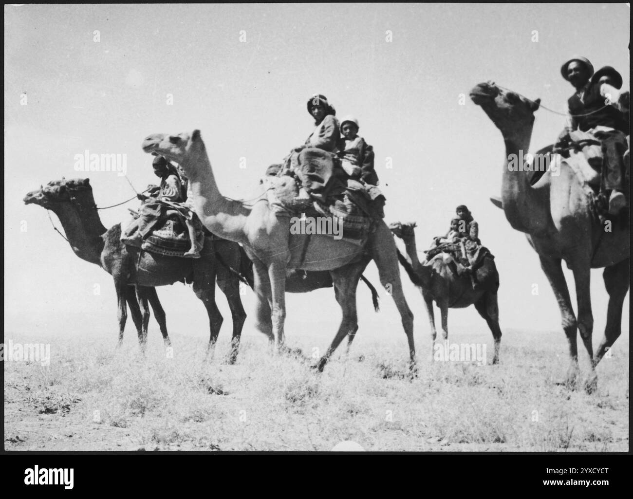Afghanistan, Islam Kaleh (Eslam Qal'eh): Einheimische reiten auf Kamelen in Stufen. Archivfoto Afghanistan von Annemarie Schwarzenbach, um 1939 Stockfoto