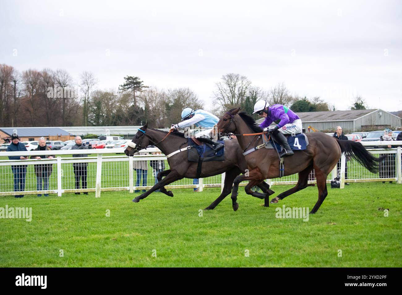 Windsor, Berkshire, Großbritannien. Dezember 2024. DAS ASIATISCHE GEWÜRZ (Nr. 4), geritten von Jockey Harry Cobden (violette Seide), überholt BELLBIRD (Nr. 7), geritten von Charlie Maggs, bevor es das Fitzdares Windsor Castle Mares Handicap Hürdenrennen Klasse 4 Challenger Mares Hürdenserie Qualifikation beim Jumps Racing Returns Meeting auf der Royal Windsor Racecourse in Windsor, Berkshire, gewann. Inhaber Martin Hill und Partner, Trainer Jimmy Frost, Buckfastleigh, Züchter Mr Martin & Mrs Rachel Hill, Sponsor A S Trade Car Sales. Quelle: Maureen McLean/Alamy Live News Stockfoto