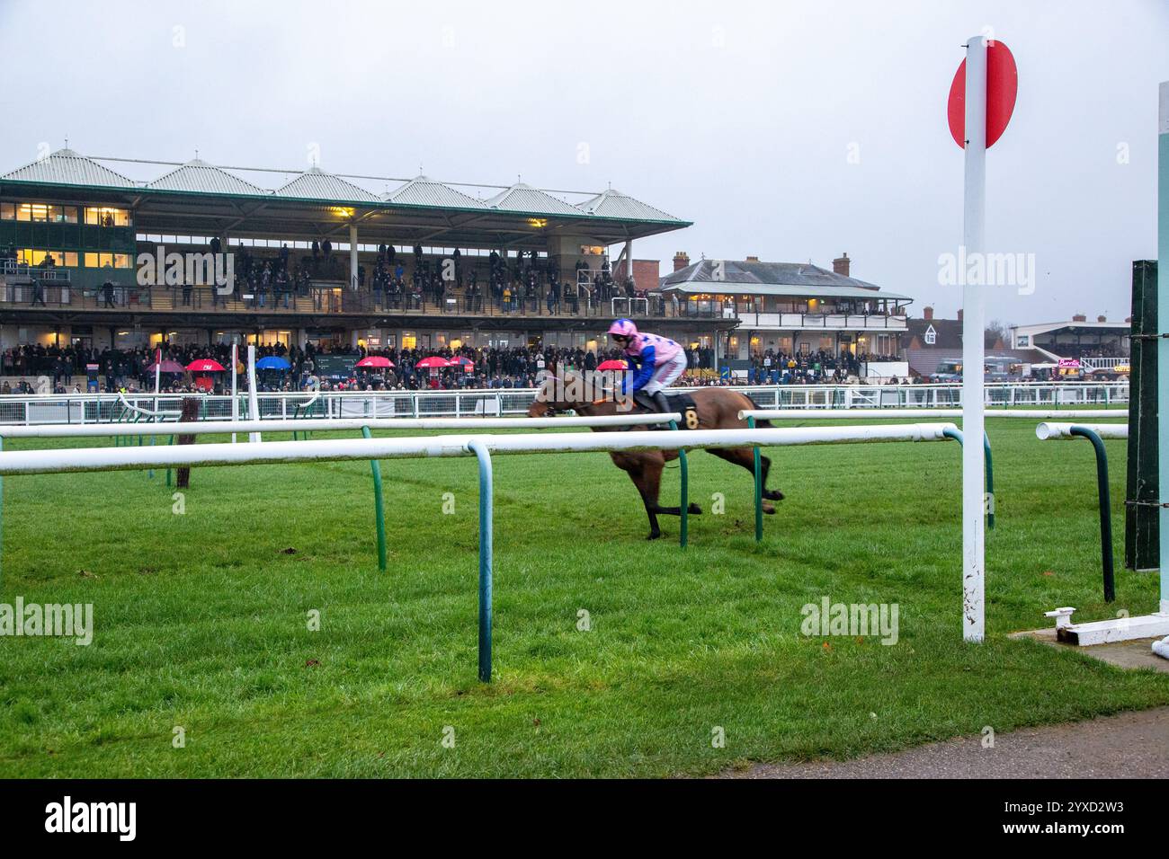 Nationales Jagdpferderennen auf der Rennbahn Warwick England UK mit Action vor der Haupttribüne beim Renntreffen im Dezember 2024 Stockfoto