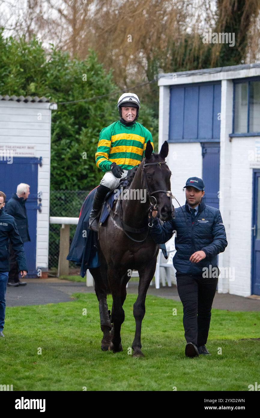 Windsor, Berkshire, Großbritannien. Dezember 2024. HASTHING wurde von Jockey Richie McLernon, Gewinner der Fitzdares Telephone Betting Handicap Tureple Chase Class 4, beim Jumps Racing Returns Meeting auf der Royal Windsor Racecourse in Windsor, Berkshire, gefahren. Eigentümer John P McManus, Trainer Jonjo & A J O’Neill, Cheltenham, Sponsor der Wasdell Group. Quelle: Maureen McLean/Alamy Live News Stockfoto