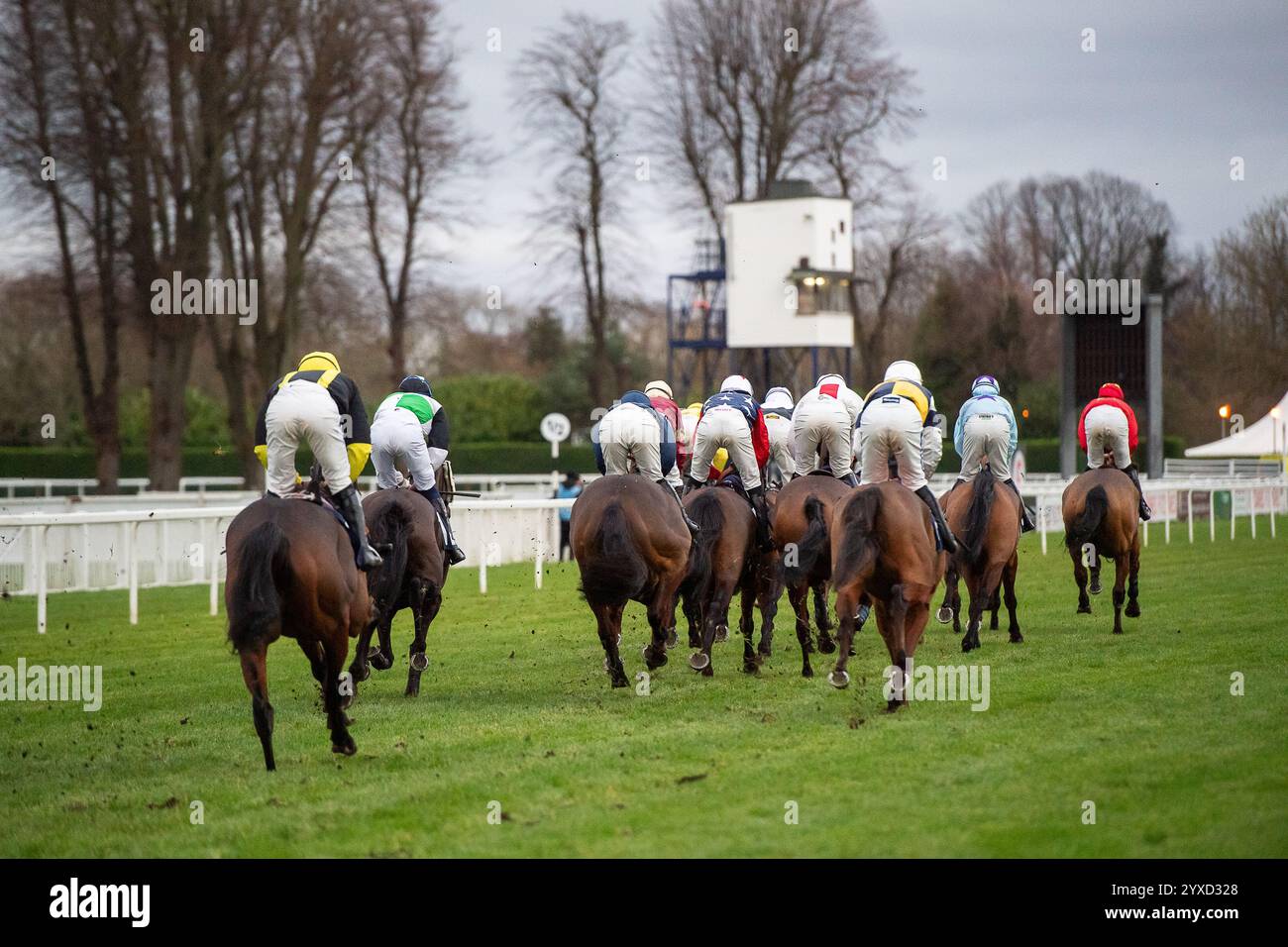 Windsor, Berkshire, Großbritannien. Dezember 2024. Fahrer im Fitzdares Windsor Christmas Handicap Hürdenrennen Klasse 4 beim Jumps Racing Returns Meeting auf der Royal Windsor Racecourse in Windsor, Berkshire. Quelle: Maureen McLean/Alamy Live News Stockfoto