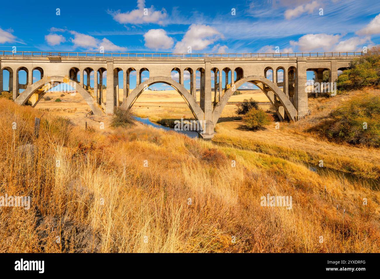 Die 1915 erbaute Rosalia Railroad Bridge überquert den Pine Creek mit dem dahinter liegenden Steptoe Battlefield State Park in Rosalia, Washington Stockfoto