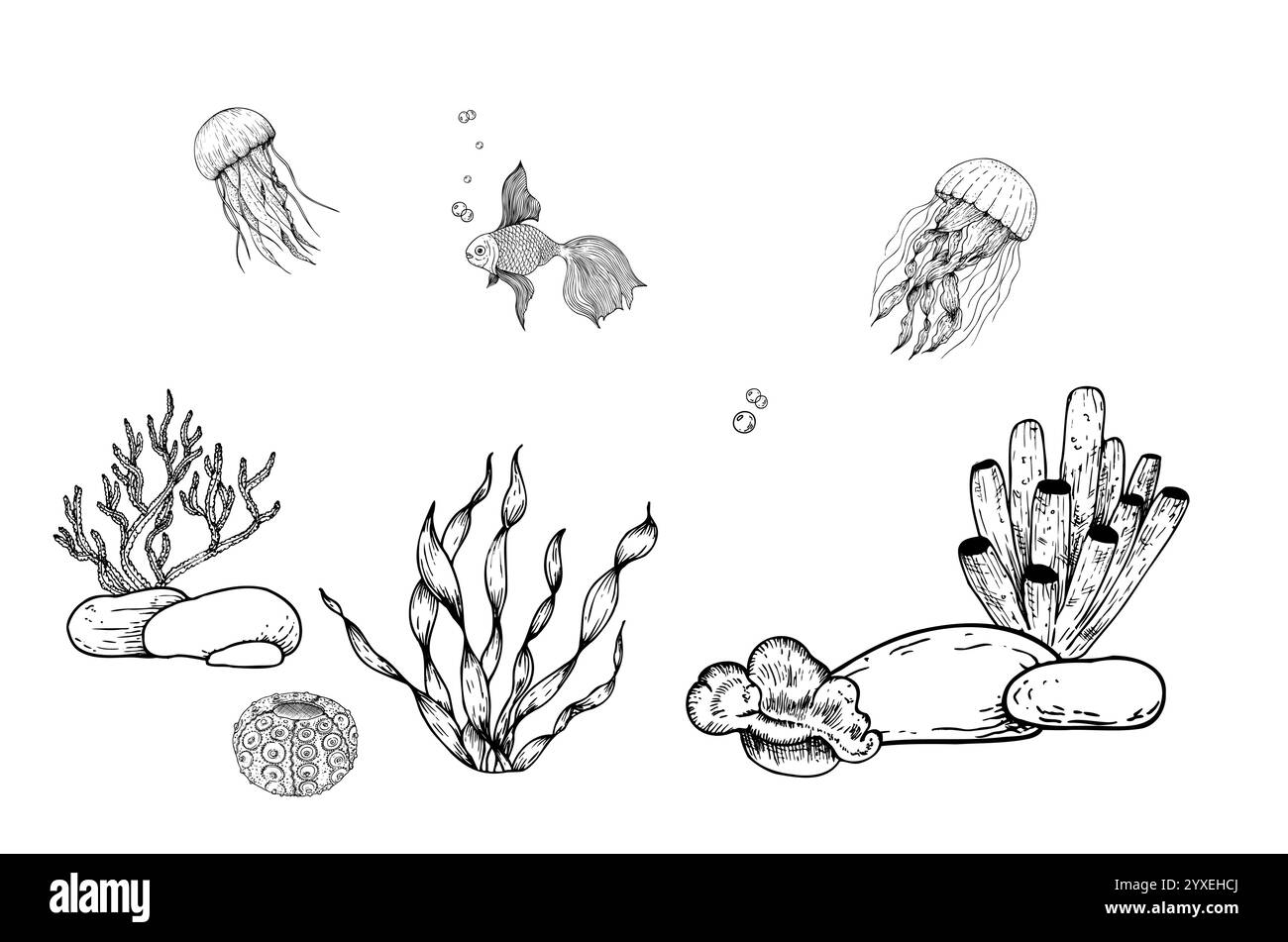 Vektor-Meeresboden. Kieselsteine, Algen, Korallen. Handgemalte Algen, tropische Goldfische, Quallen. Grafik-Rock-Clip-Art isoliert auf Hintergrund Stock Vektor