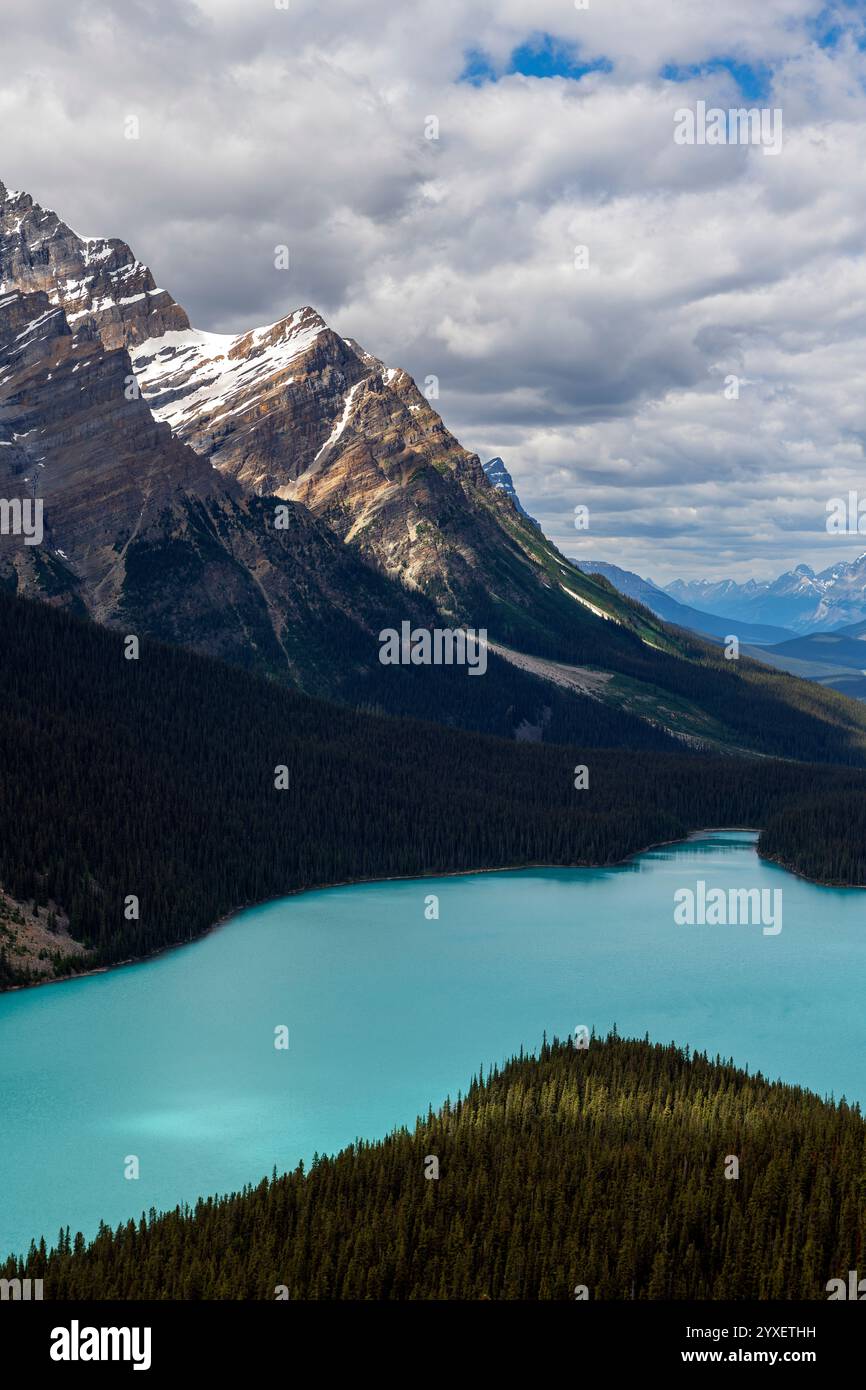 Peyto Lake vertikal, Banff National Park, Kanada. Stockfoto