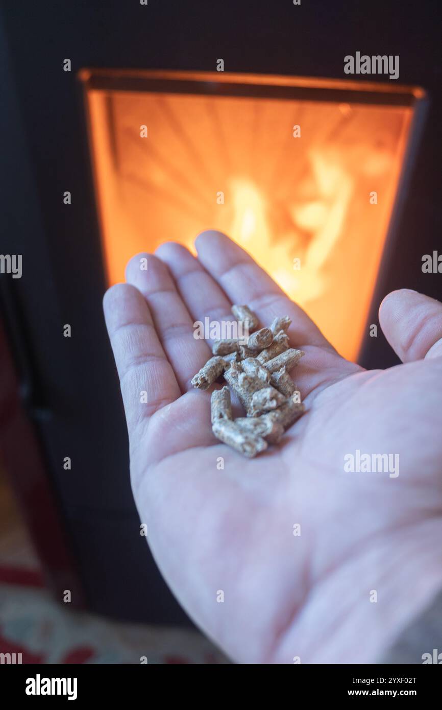 Eine Hand mit Holzpelletbrennstoff vor einem Herd mit brennendem Feuer Stockfoto