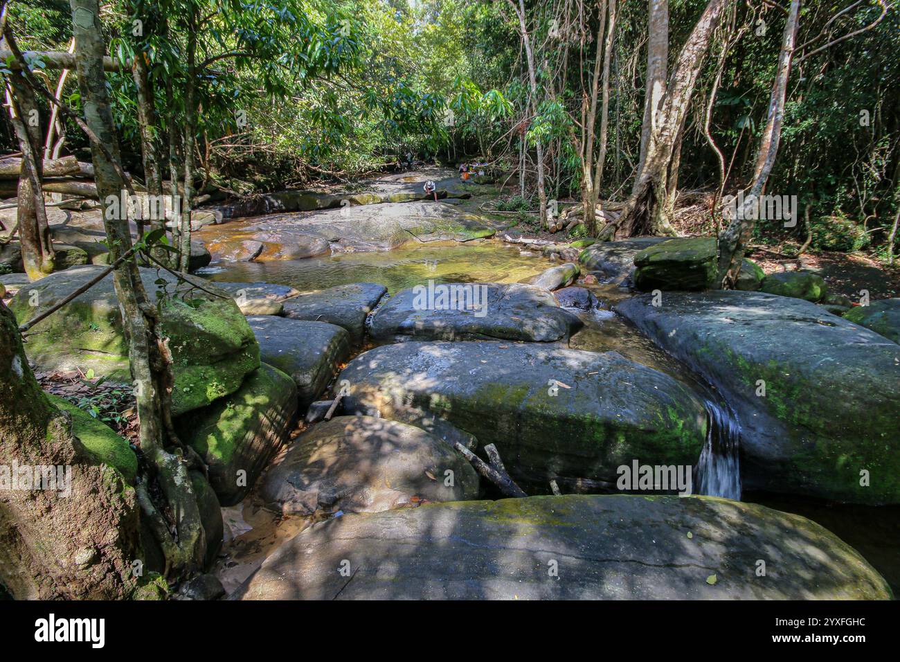 Phu Quoc, Vietnam. Dez 15.2024: Vor dem Ansturm des Übertourismus suchen die einheimischen Inselbewohner Zuflucht in die Kühle der Waldwasserfälle, fernab von übertouristischen Stränden und brandneuen Resorts. Die Paradies-Insel, deren Nationalpark 2006 zum UNESCO-Biosphärenreservat erklärt wurde, wurde in den letzten Jahren von Konglomeraten wie Sun Group & Vingroup in eine Inselstadt oder ein vietnamesisches Phuket mit 40.000 Hotelzimmern umgebaut. Die Insel, die vor 20 Jahren nur 130.000 Touristen willkommen hieß, erwartet in diesem Jahr 6 Millionen. Quelle: Kevin Izorce/Alamy Live News Stockfoto
